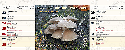 Stolový kalendár Huby 2026 1