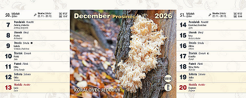 Stolový kalendár Huby 2026 3