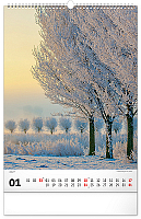 NOTIQUE Nástenný kalendár Stromy 2027, 33 x 46 cm 1