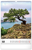 NOTIQUE Nástenný kalendár Stromy 2027, 33 x 46 cm 2