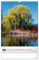 NOTIQUE Nástenný kalendár Stromy 2027, 33 x 46 cm 3