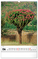 NOTIQUE Nástenný kalendár Stromy 2027, 33 x 46 cm 6