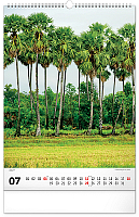 NOTIQUE Nástenný kalendár Stromy 2027, 33 x 46 cm 7