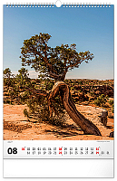 NOTIQUE Nástenný kalendár Stromy 2027, 33 x 46 cm 8