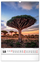 NOTIQUE Nástenný kalendár Stromy 2027, 33 x 46 cm 10