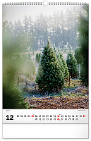 NOTIQUE Nástenný kalendár Stromy 2027, 33 x 46 cm 12