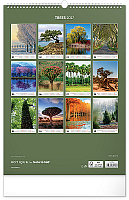 NOTIQUE Nástenný kalendár Stromy 2027, 33 x 46 cm 13
