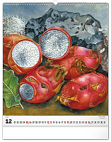 NOTIQUE Nástenný kalendár Frida Kahlo 2027, 48 x 56 cm 12