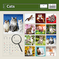 Kalendár Cats 14
