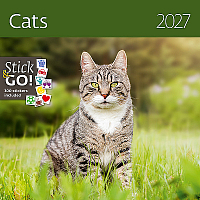 Kalendár Cats 13