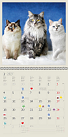 Kalendár Cats 15