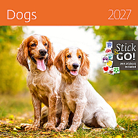 Kalendár Dogs 13