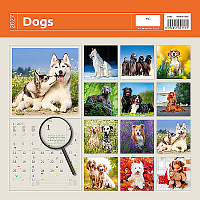 Kalendár Dogs 14