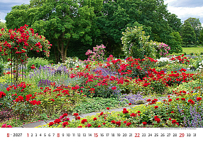 Kalendár Gardens 8