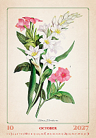Kalendár Herbarium 10