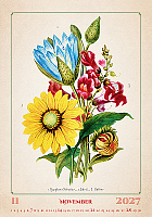 Kalendár Herbarium 11
