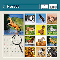 Kalendár Horses 14