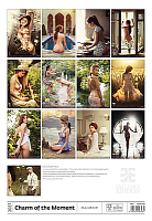 Kalendár Charm of the Moment 14