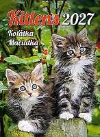 Kalendár Mačičky 13