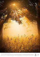 Kalendár Nature Emotions 8
