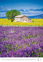 Kalendár Provence 5