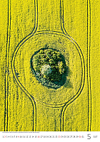 Kalendár World from Above 5
