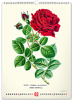 NOTIQUE Nástenný kalendár Vintage plagáty – herbár 2027, 33 x 46 cm 2
