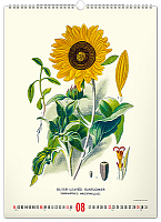 NOTIQUE Nástenný kalendár Vintage plagáty – herbár 2027, 33 x 46 cm 8