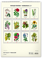 NOTIQUE Nástenný kalendár Vintage plagáty – herbár 2027, 33 x 46 cm 13