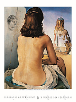 Nástenný kalendár Salvador Dalí 2027 7