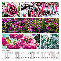 Nástenný kalendár Colours of nature 2027 4