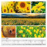 Nástenný kalendár Colours of nature 2027 9