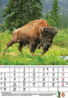 Nástenný kalendár Poľovnícky kalendár 2027 7