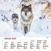 Nástenný kalendár Les a jeho príbehy 2027 2