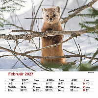 Nástenný kalendár Les a jeho príbehy 2027 3
