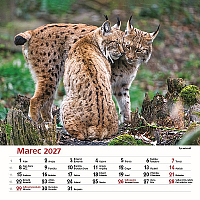 Nástenný kalendár Les a jeho príbehy 2027 4