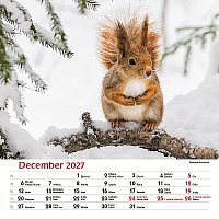 Nástenný kalendár Les a jeho príbehy 2027 13