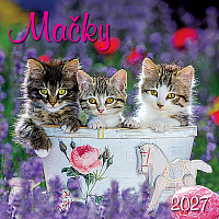 Nástenný kalendár Mačky 2027 1
