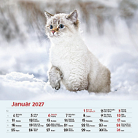 Nástenný kalendár Mačky 2027 2
