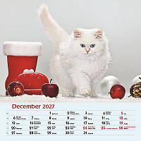 Nástenný kalendár Mačky 2027 13