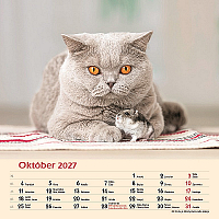 Nástenný kalendár Priatelia 2027 11
