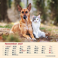 Nástenný kalendár Priatelia 2027 12