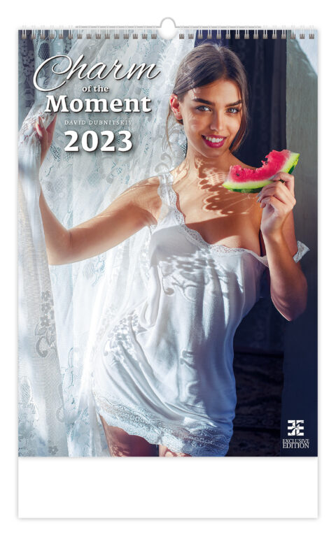 Kalendár Charm of the Moment