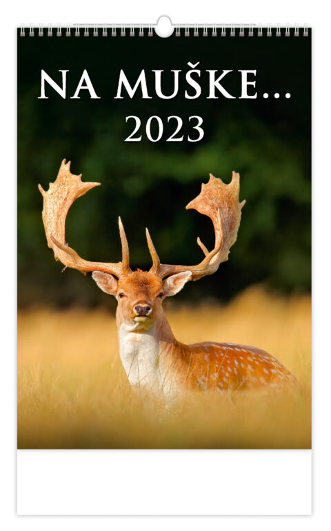 Kalendár Na muške...