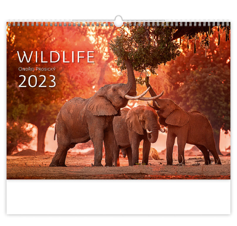 Kalendár Wildlife