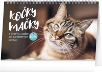 Kalendár - Stolový kalendár Kočky – Mačky CZ/SK 2024, 23,1 × 14,5 cm