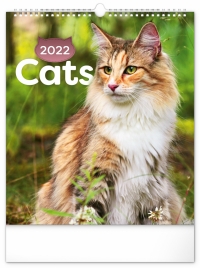Kalendár - Nástenný kalendár Mačky 2022, 30 × 34 cm