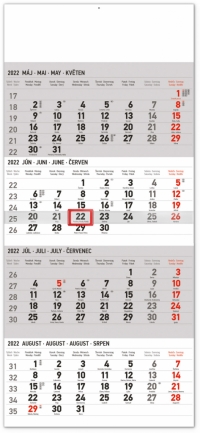 Kalendár - Nástenný kalendár 4–mesačný štandard 2022, 29,5 × 57 cm